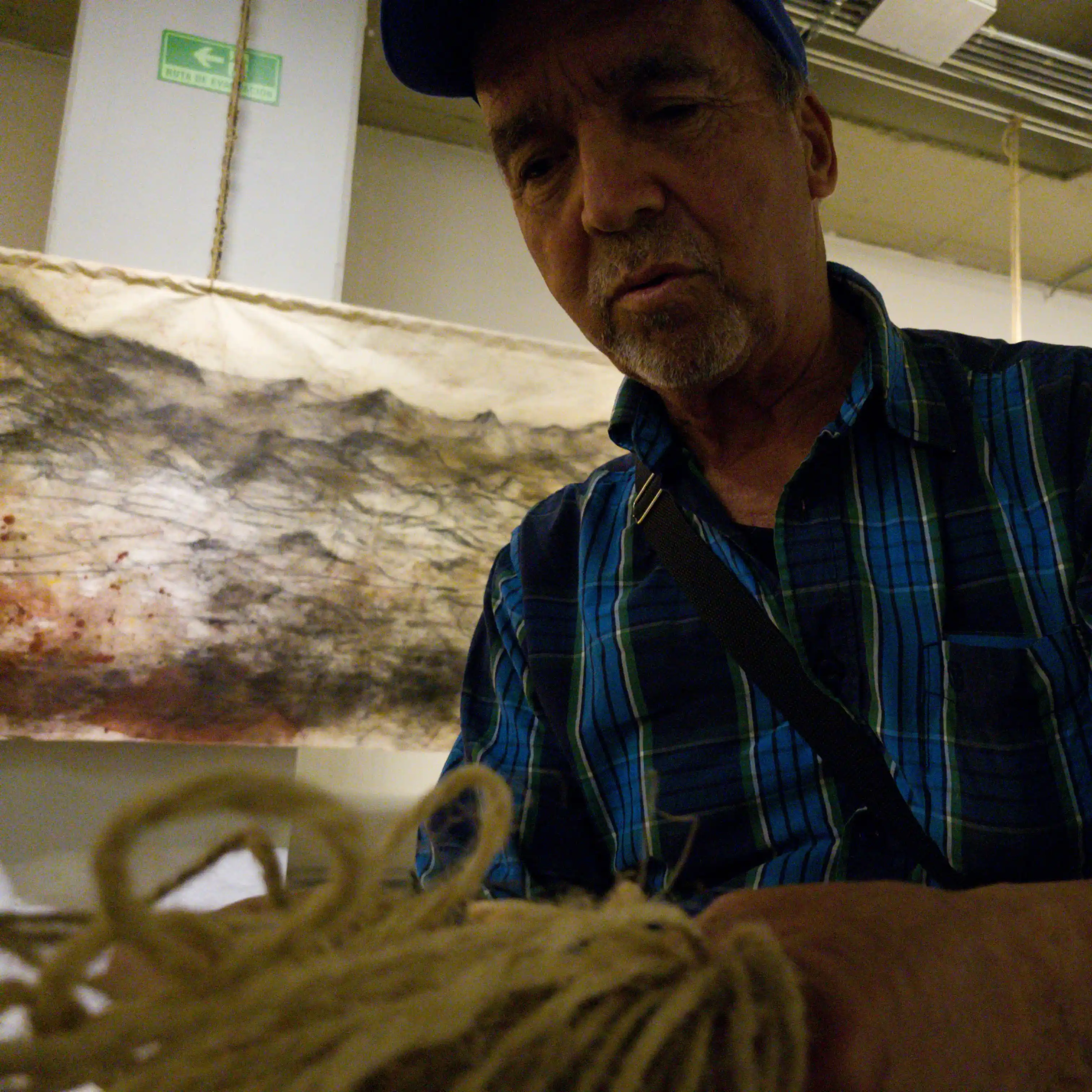 Why mangroves: The case for blue carbon